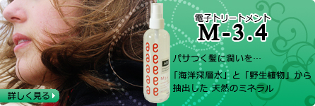 �d�q�g���[�g�����g�uM-3.2�v