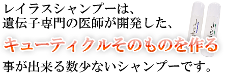 ���C���X�V�����v�[�́A��`�q���̈�t���J�������A�L���[�e�B�N�����̂��̂���鎖���o���鐔���Ȃ��V�����v�[�ł��B